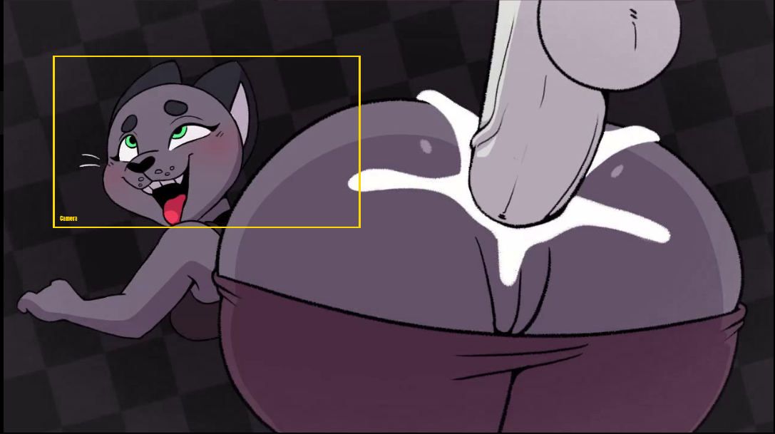 camera example